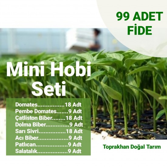 Mini Hobi Seti 99 adet fide Nisan Ayı İtibari ile Teslimatlar